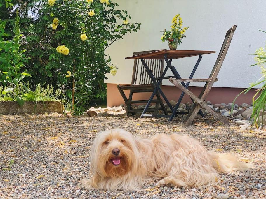 Gaestehaus Im Garten Zeitlofs Εξωτερικό φωτογραφία